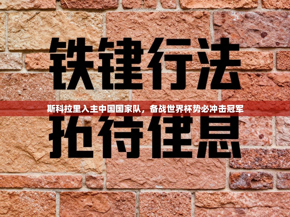 斯科拉里入主中国国家队，备战世界杯势必冲击冠军  第1张