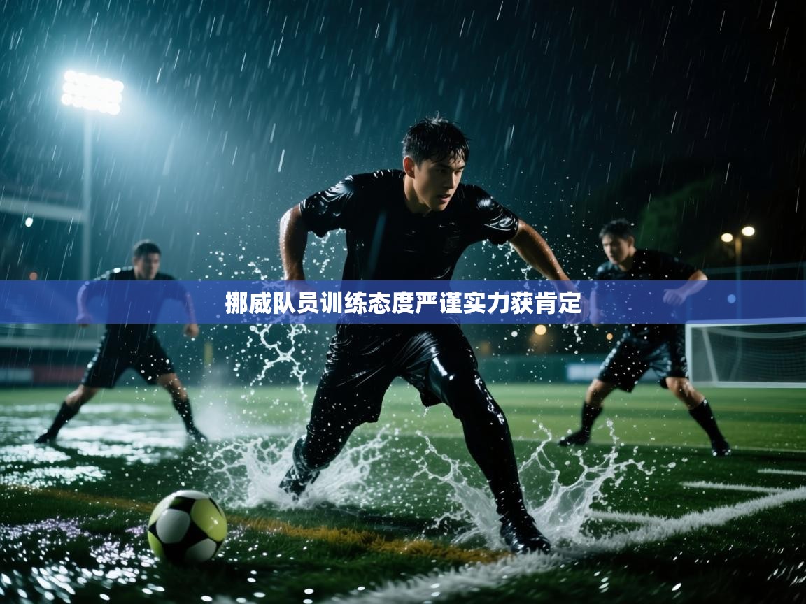 挪威队员训练态度严谨实力获肯定  第1张