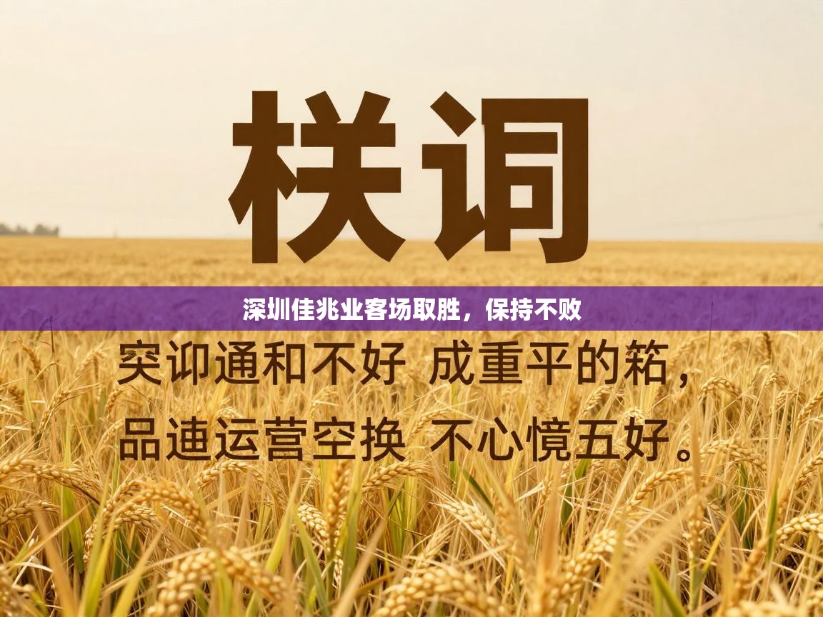深圳佳兆业客场取胜，保持不败  第2张